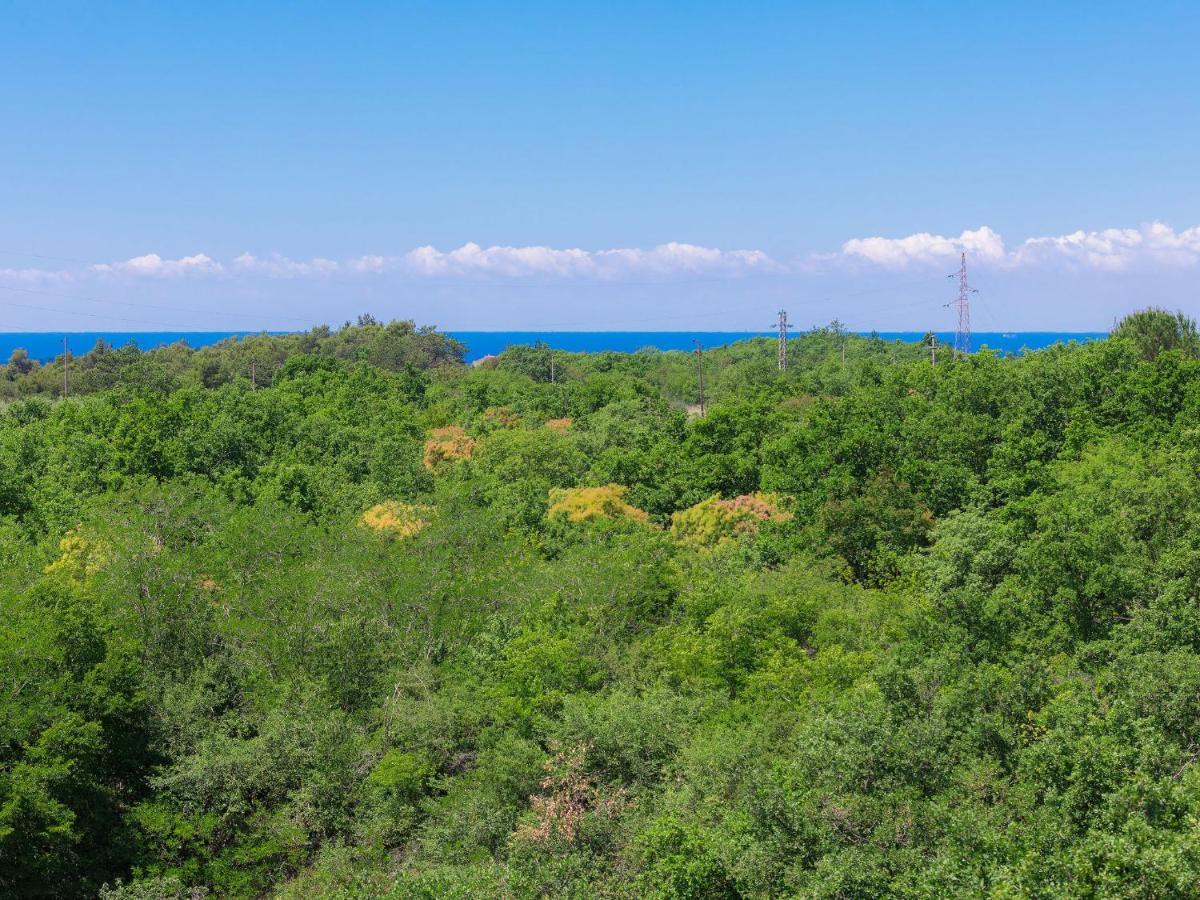Holiday Home Bibali 3 By Interhome エクステリア 写真